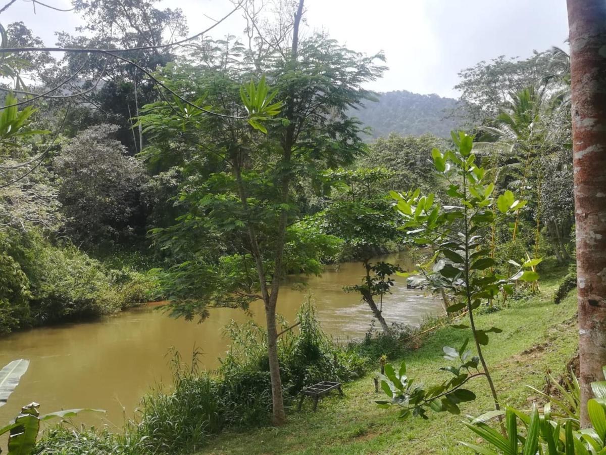 Sinharaja Vini Villa Deniyaya Esterno foto