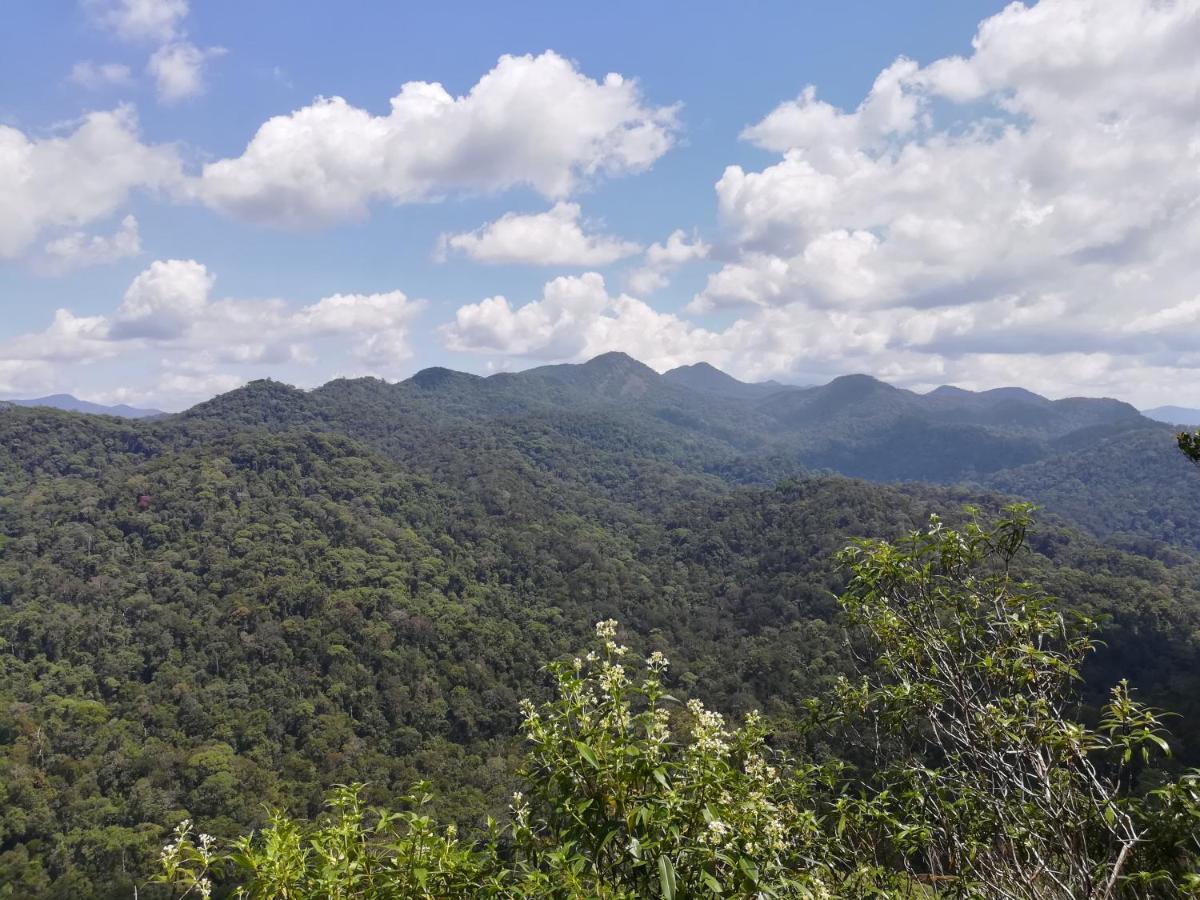 Sinharaja Vini Villa Deniyaya Esterno foto