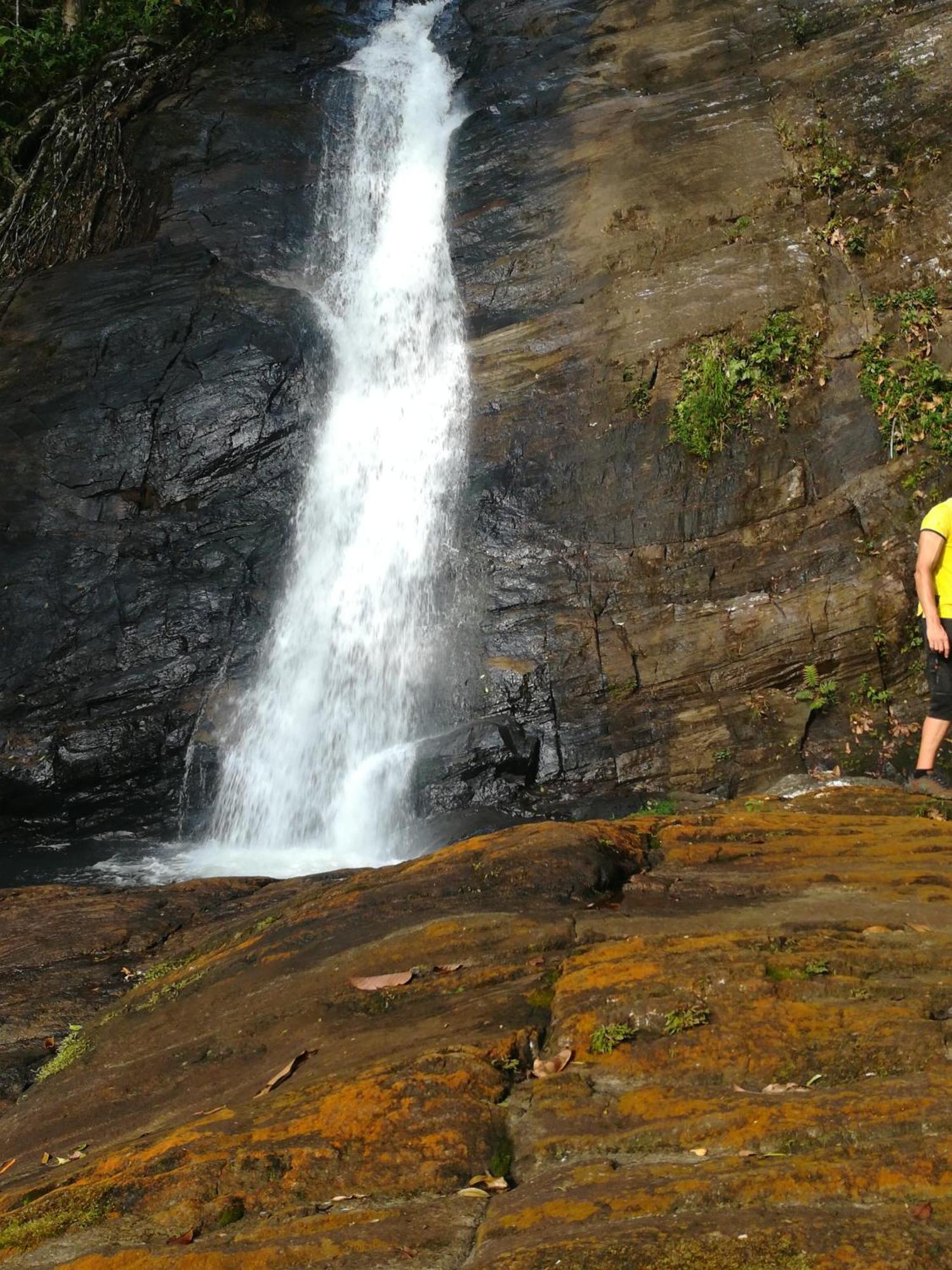 Sinharaja Vini Villa Deniyaya Camera foto