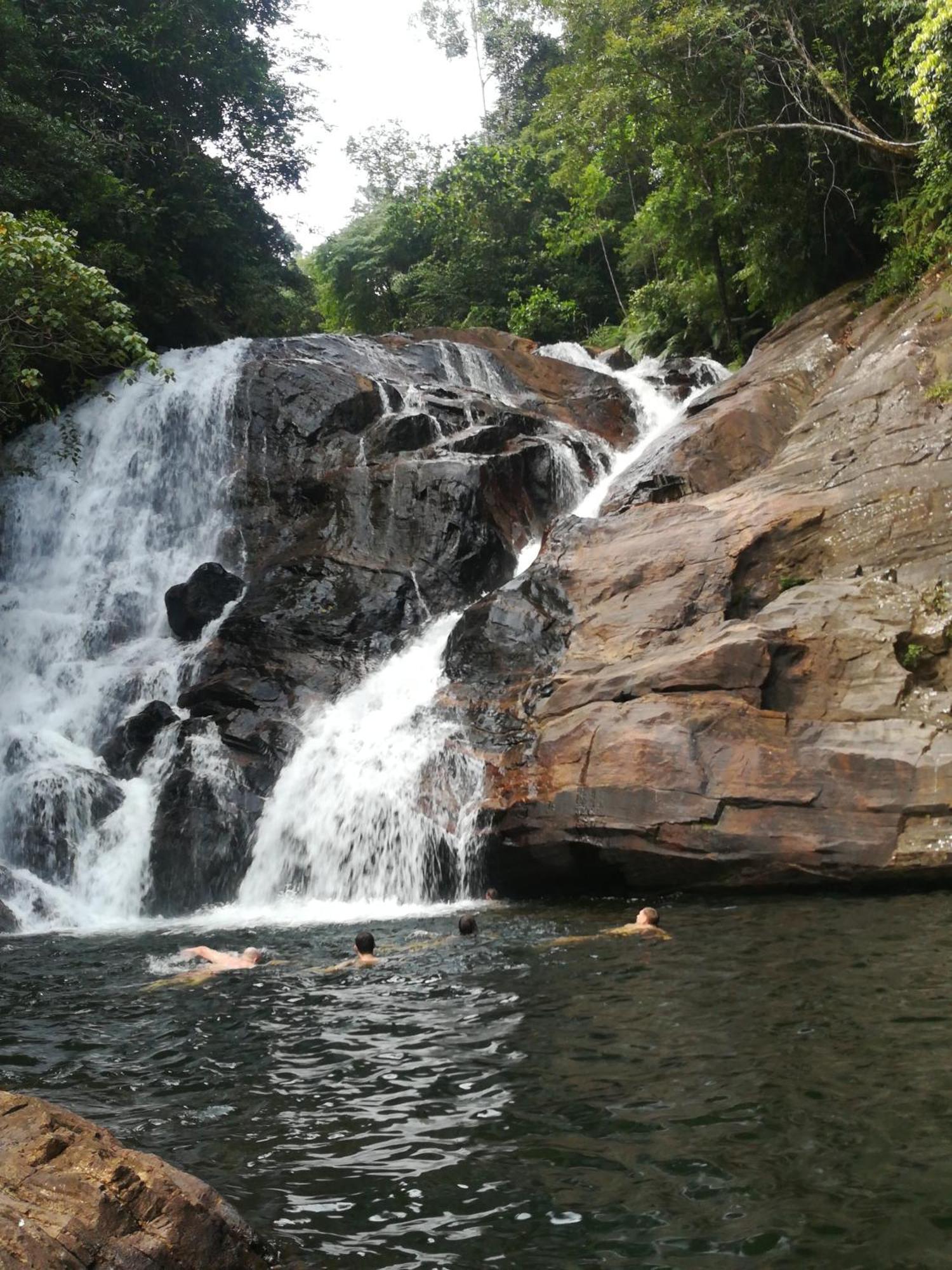 Sinharaja Vini Villa Deniyaya Camera foto