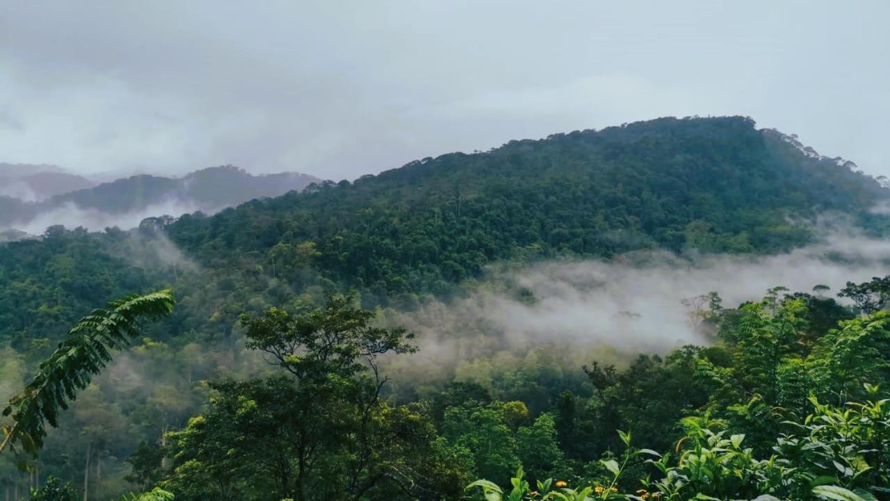 Sinharaja Vini Villa Deniyaya Esterno foto