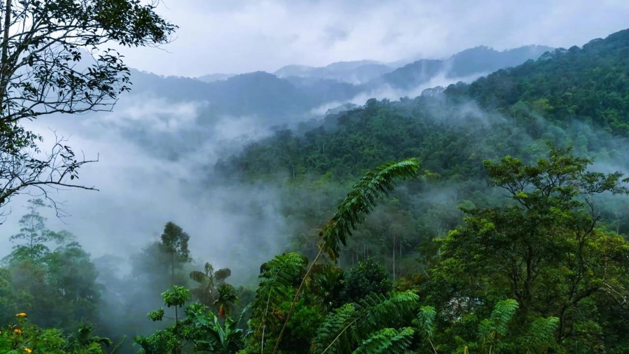 Sinharaja Vini Villa Deniyaya Esterno foto