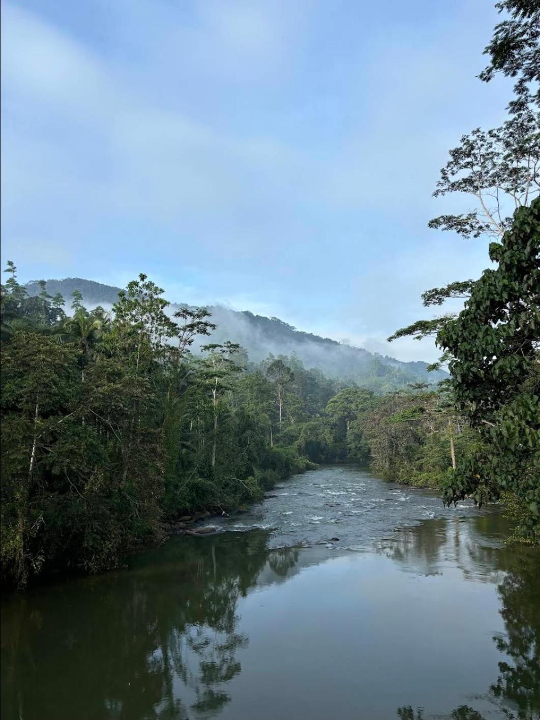 Sinharaja Vini Villa Deniyaya Esterno foto
