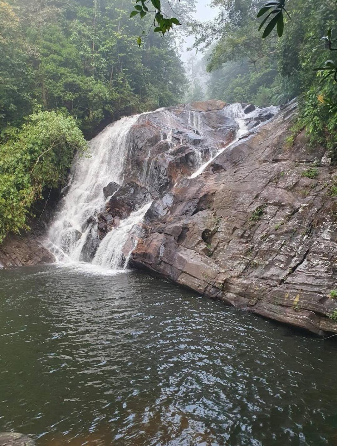 Sinharaja Vini Villa Deniyaya Esterno foto