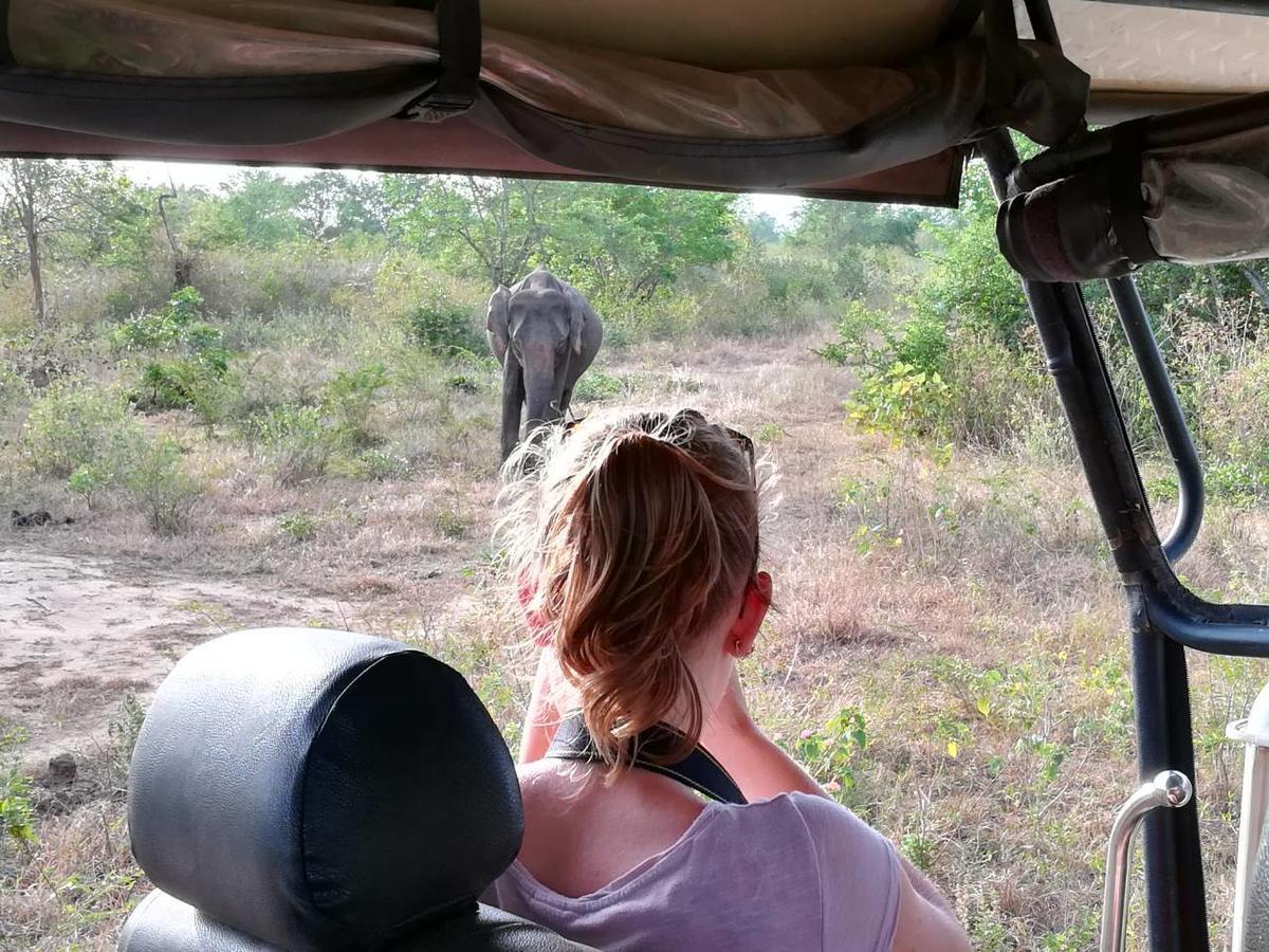 Sinharaja Vini Villa Deniyaya Esterno foto