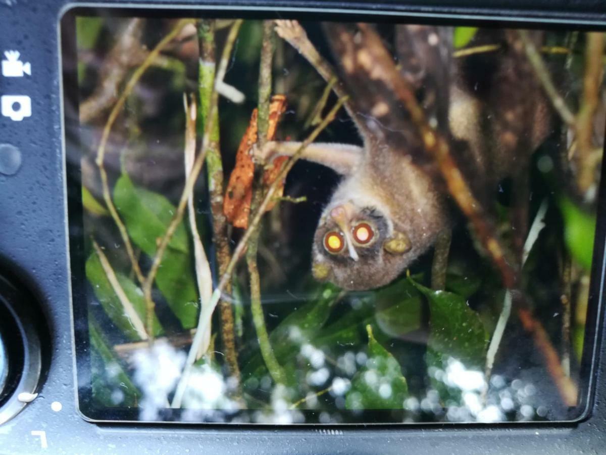 Sinharaja Vini Villa Deniyaya Esterno foto